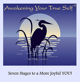 cover2