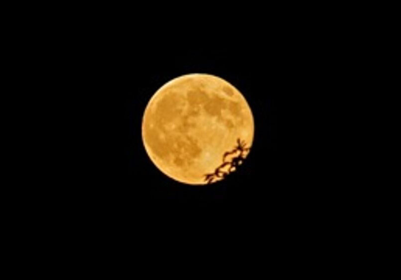 John's Moon Photo